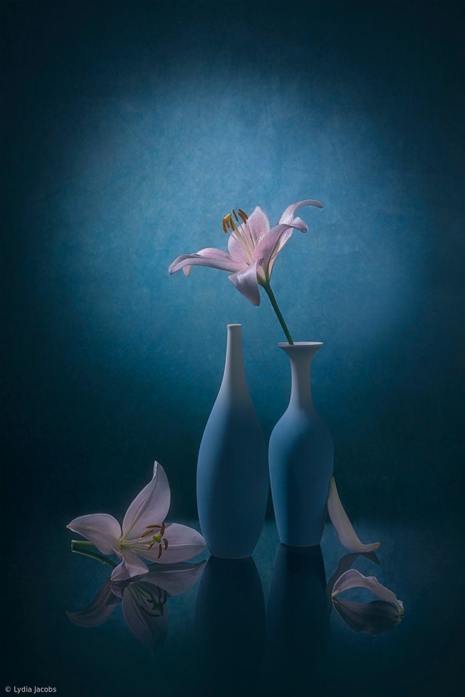 Elegant Blue Lilies by Lydia Jacobs