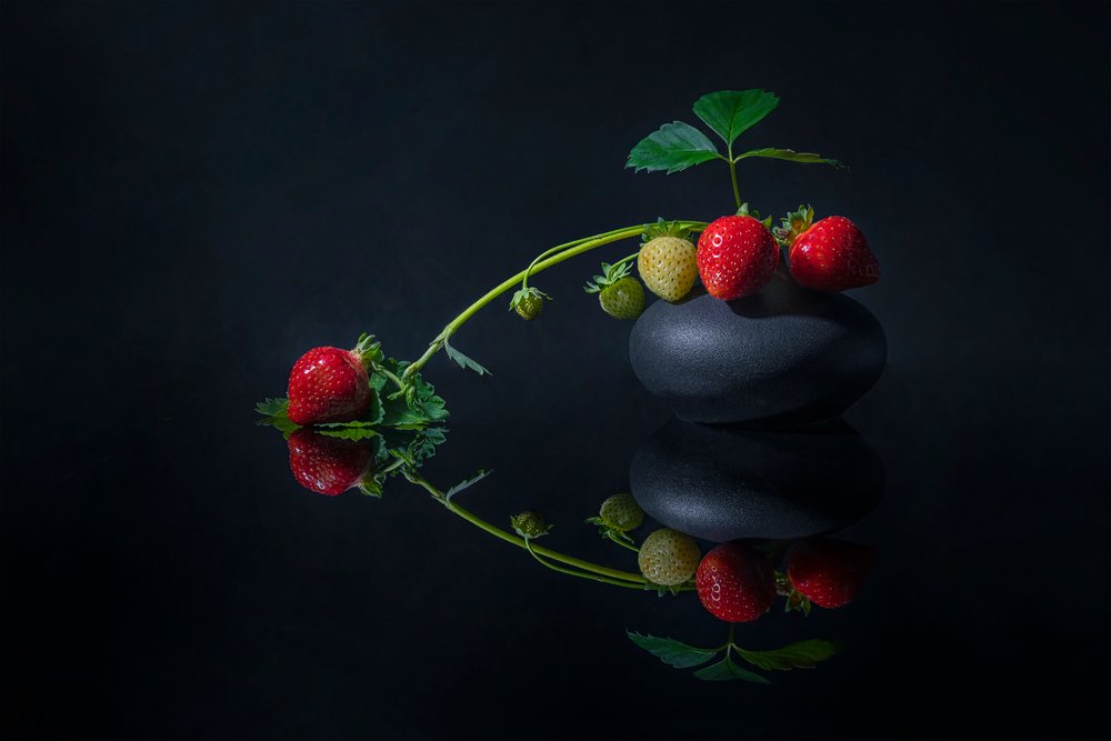 Elegant Dark Strawberries by Lydia Jacobs