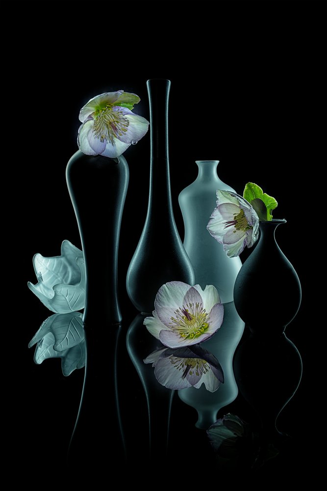 Elegant Floral Glow by Lydia Jacobs