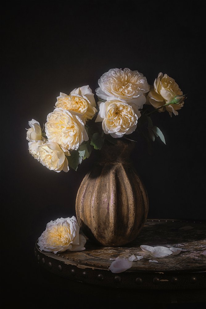 Elegant Rose Still Life by Lydia Jacobs