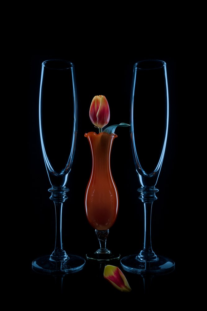 Intimate Tulip Flutes by Lydia Jacobs