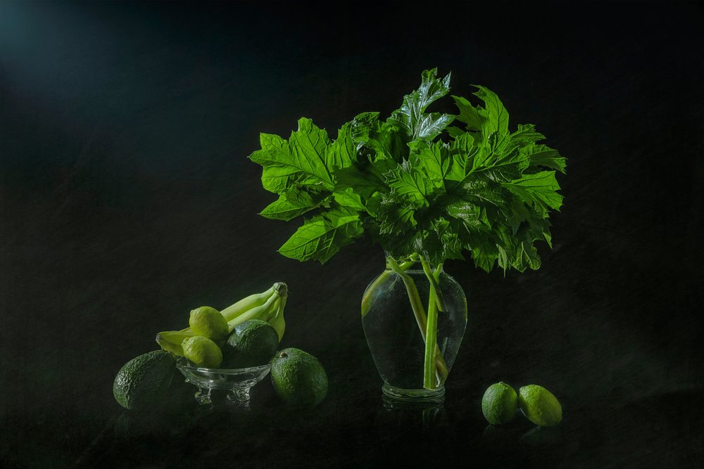 Lush Botanical Still Life by Lydia Jacobs