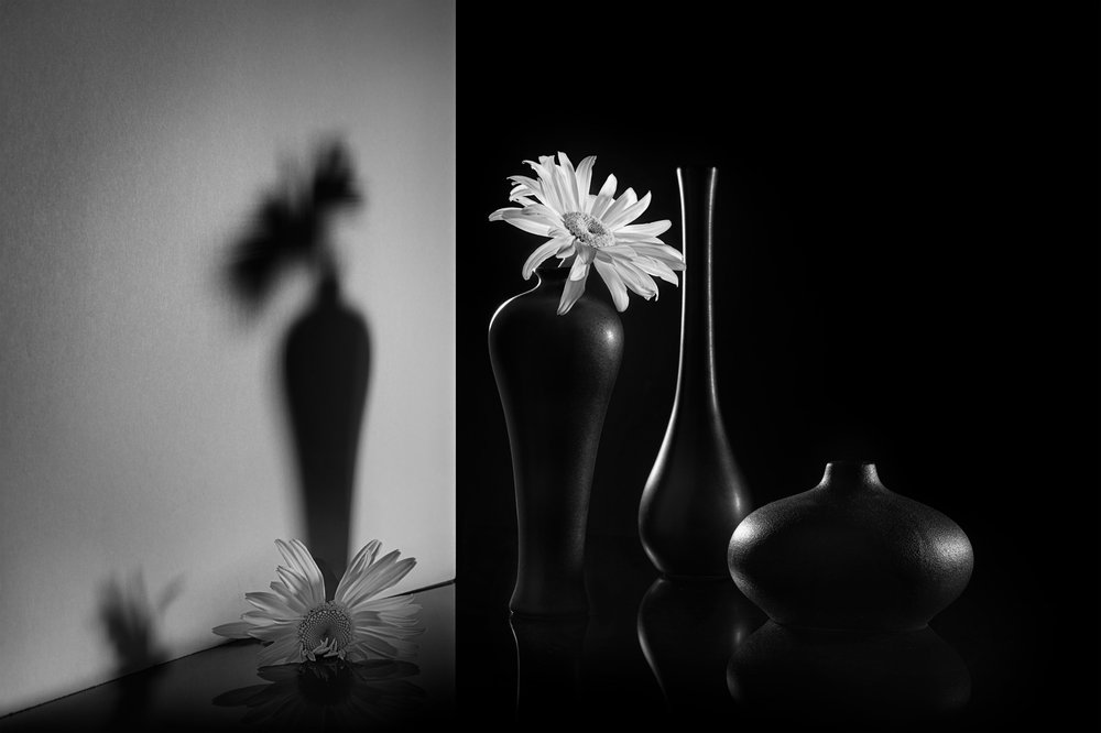 Monochrome Dual Floral by Lydia Jacobs