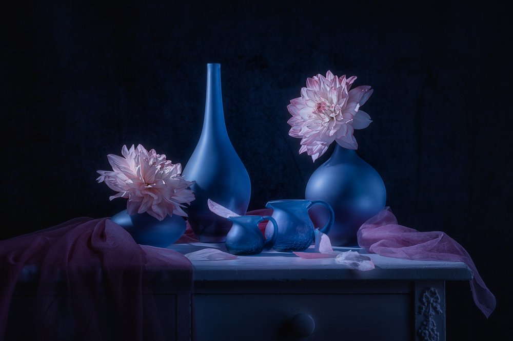 Moody Blue Dahlias by Lydia Jacobs