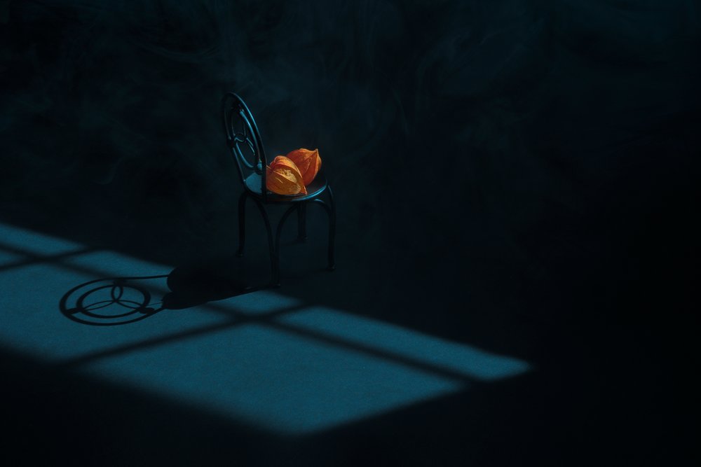 Orange Pods Still Life by Lydia Jacobs