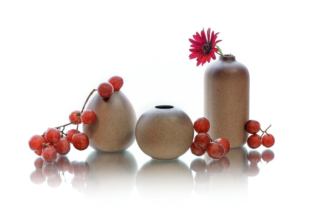 Red Berries Still Life by Lydia Jacobs