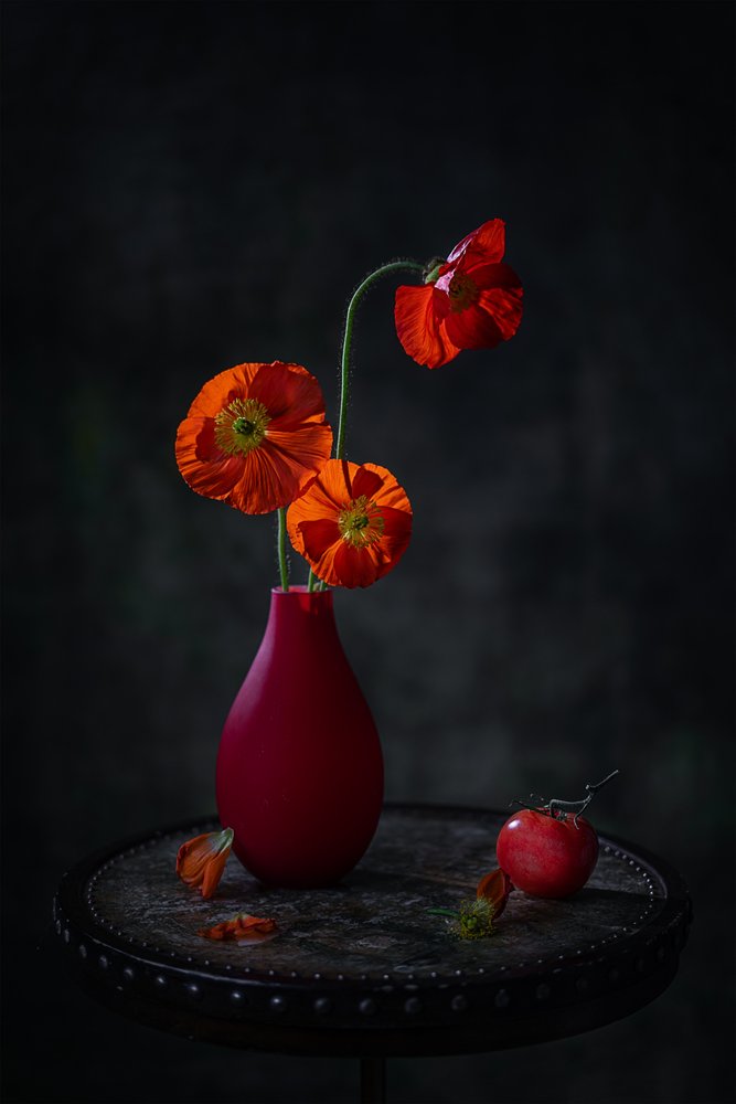 Red Poppies Dark Still Life by Lydia Jacobs