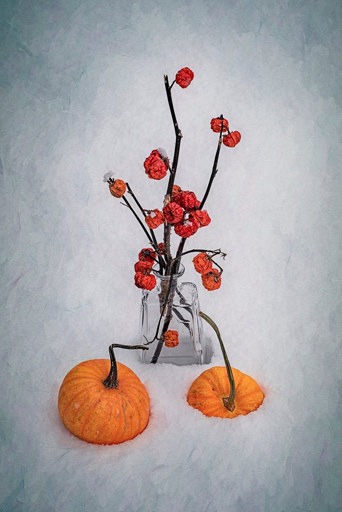 Snowy Harvest Still Life by Lydia Jacobs