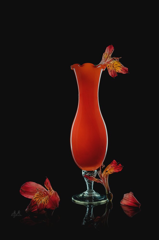 Vibrant Alstroemeria Still Life by Lydia Jacobs