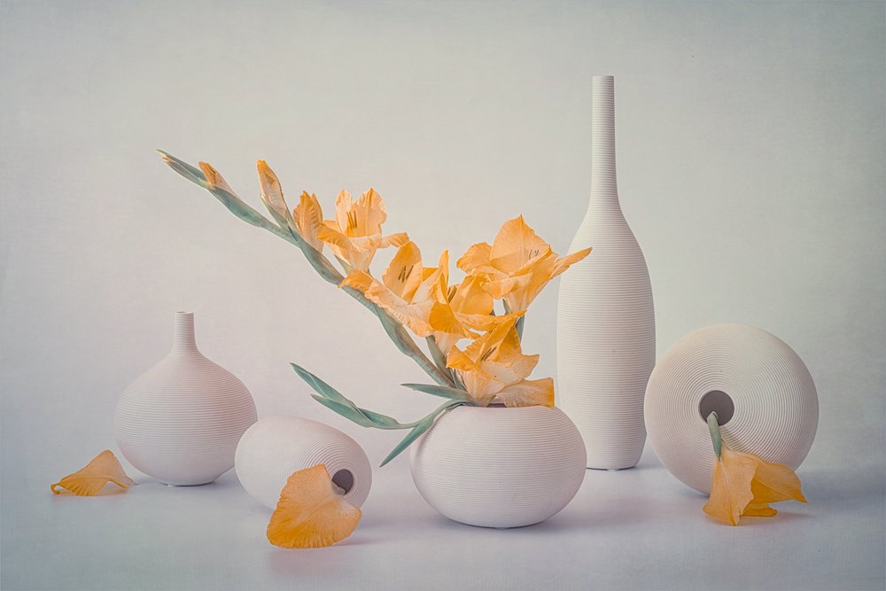 Yellow Blooms White Vases by Lydia Jacobs