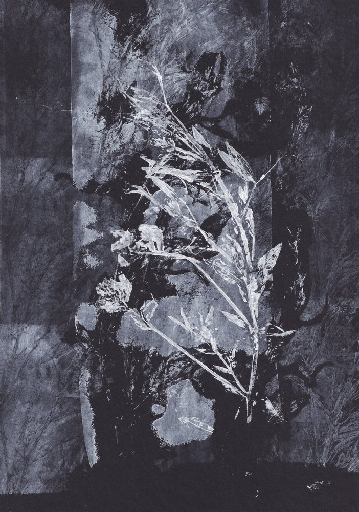 Black Nature by Maira Ribena