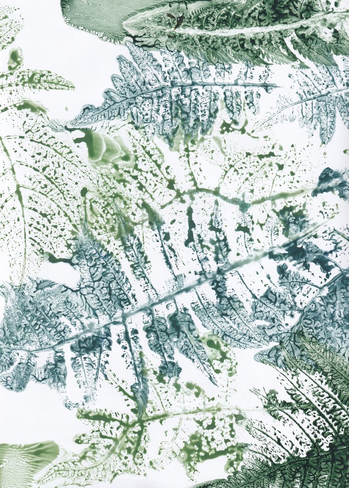 Botanical Fern Impressions by Maira Ribena