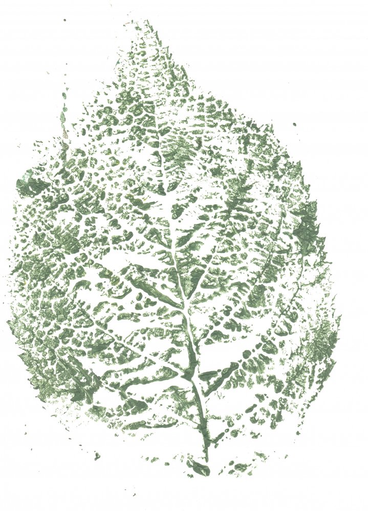 Botanical Leaf Print by Maira Ribena
