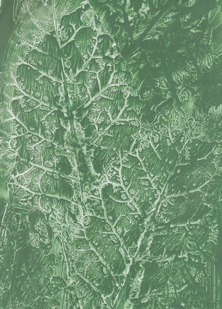 Deep Green Leaf Texture by Maira Ribena