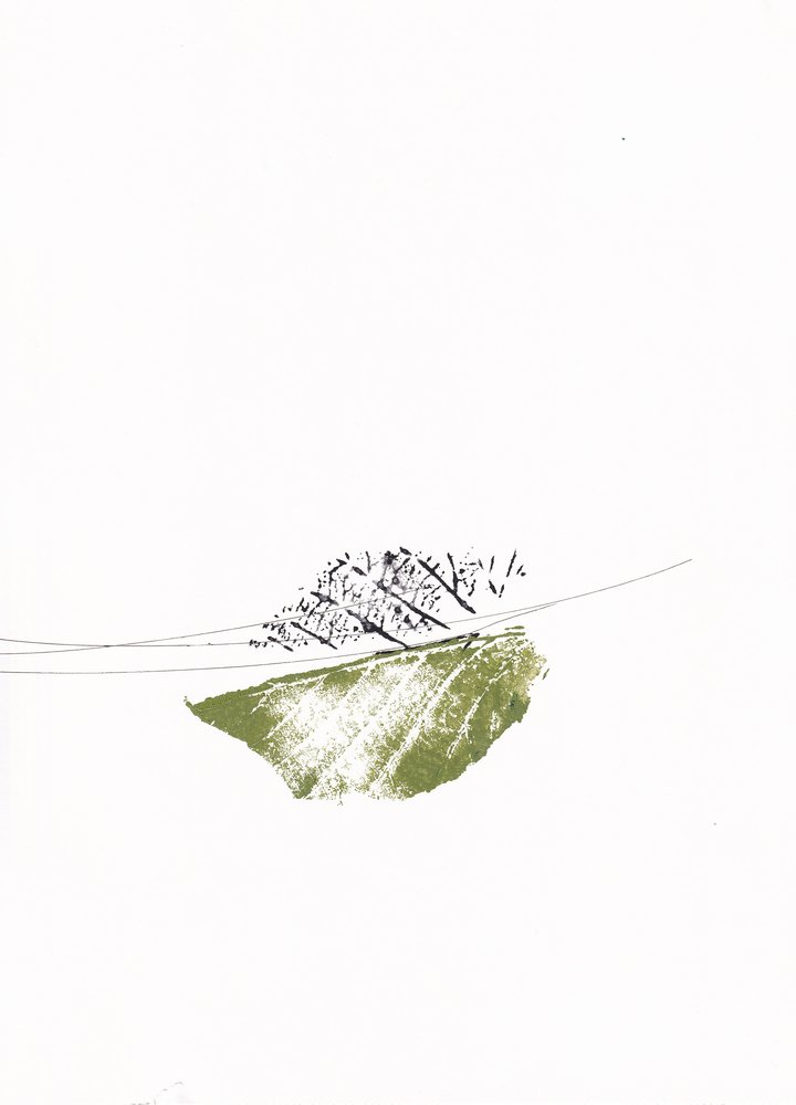 Green Leaf Bare Branches by Maira Ribena
