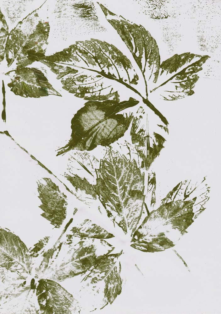 Green Leaf Prints by Maira Ribena