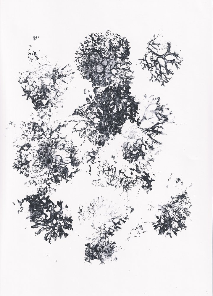 Organic Botanical Shapes by Maira Ribena