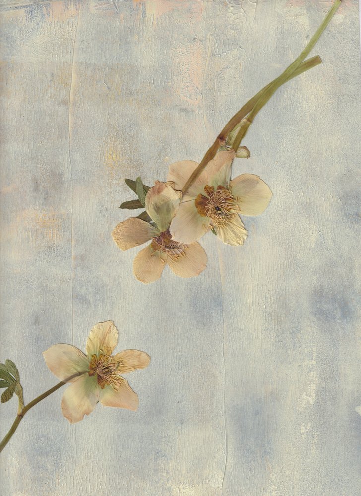 Pale Blue Botanicals by Maira Ribena