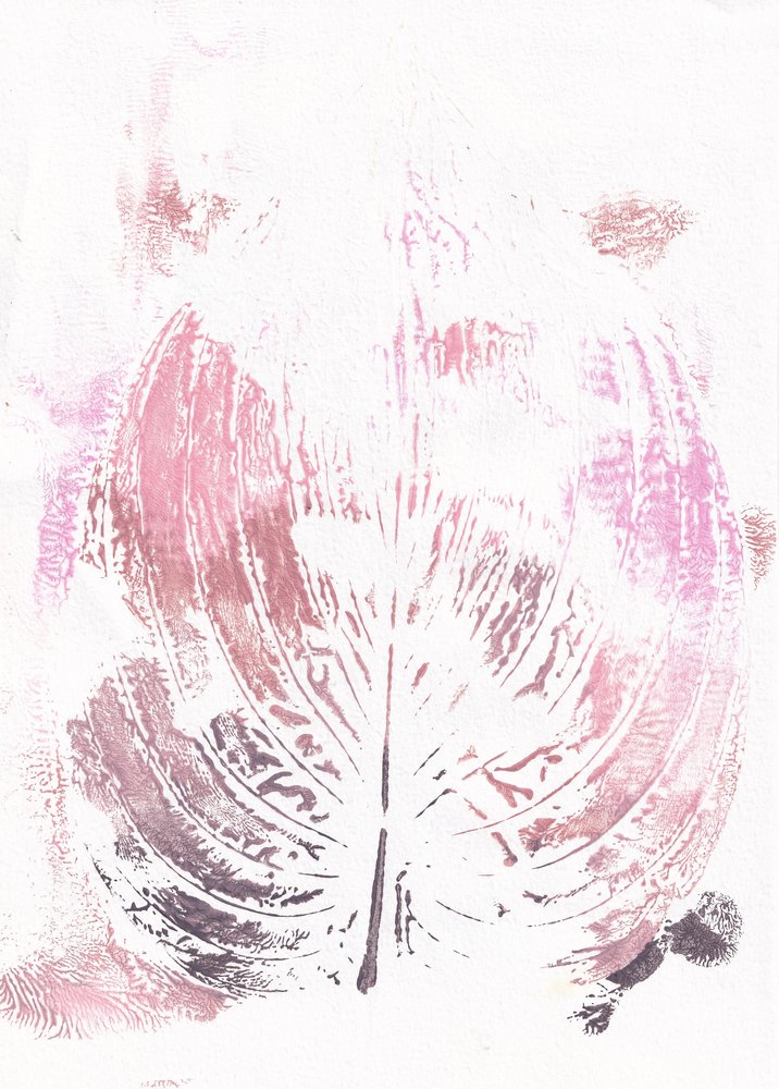 Pink Botanical Leaf by Maira Ribena
