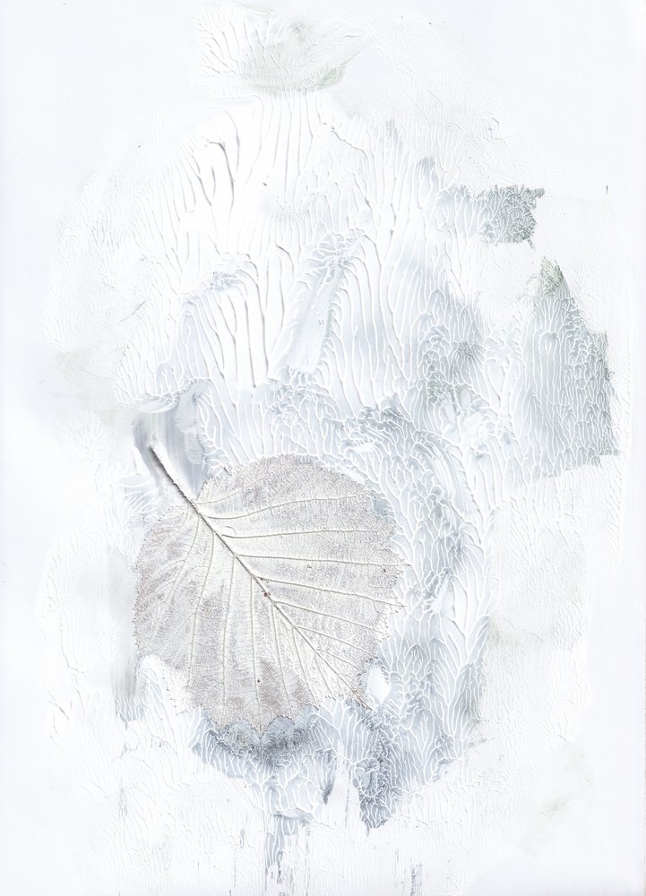 Subtle Botanical Impression by Maira Ribena