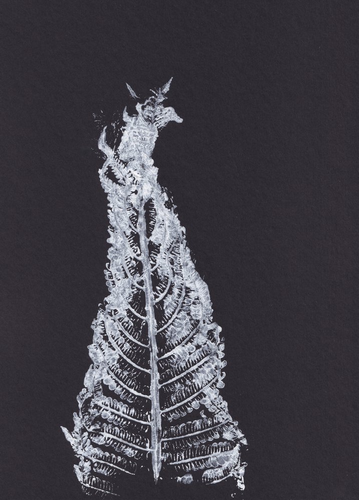 White Fern Silhouette by Maira Ribena