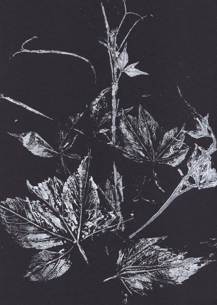 White Leaves on Black by Maira Ribena