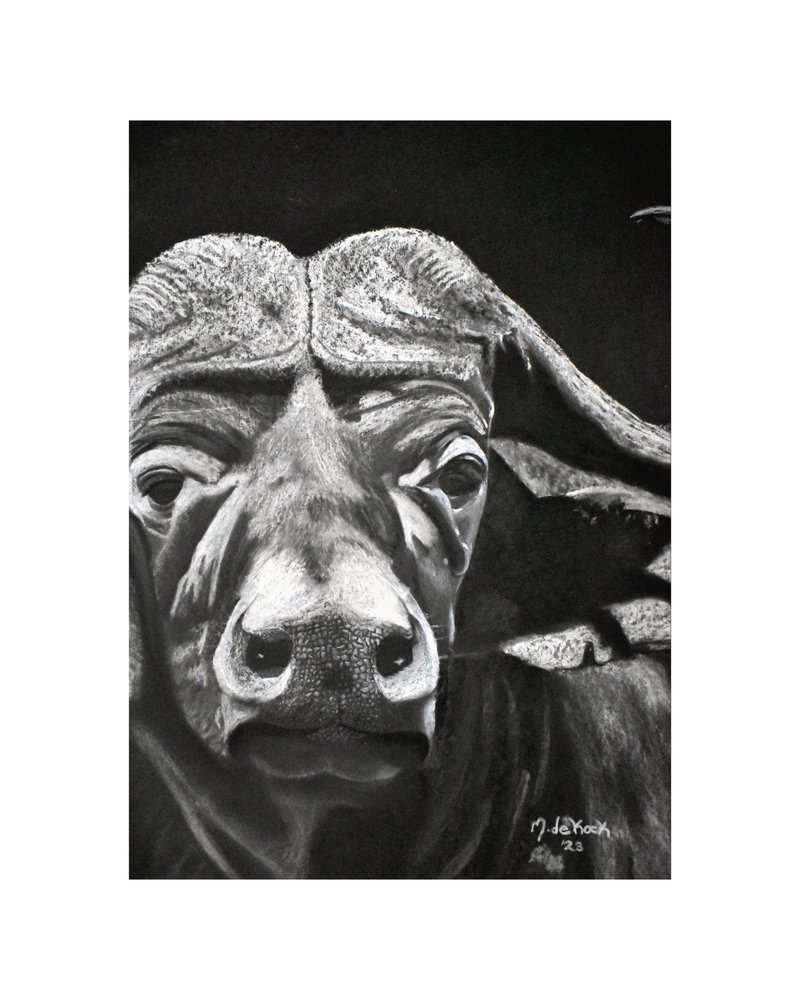 Buffalo by Marchelle de Kock