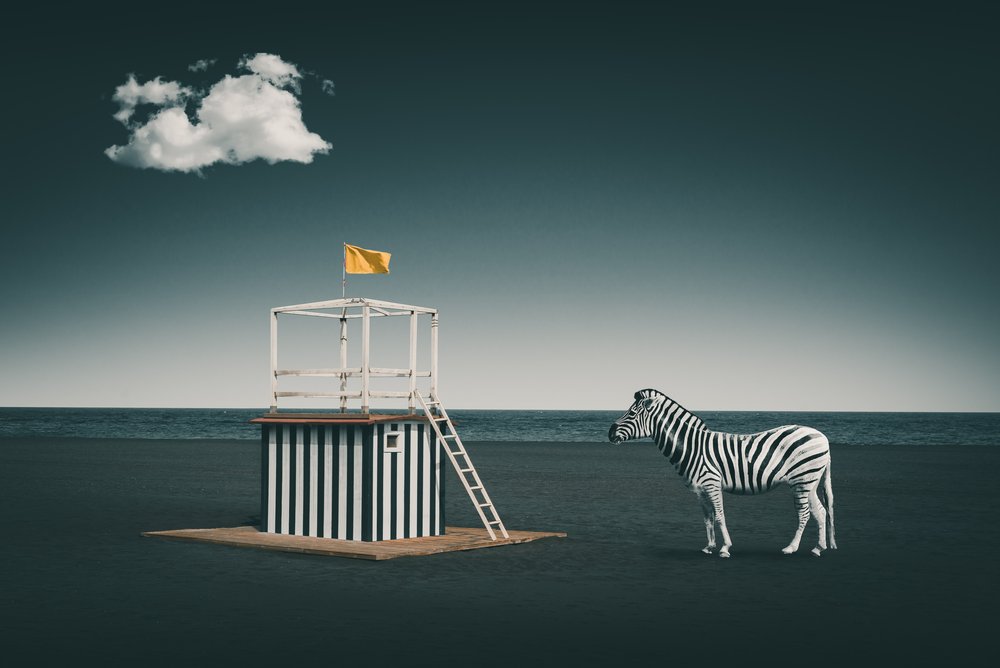 Surreal Beach Zebra by Marcus Hennen