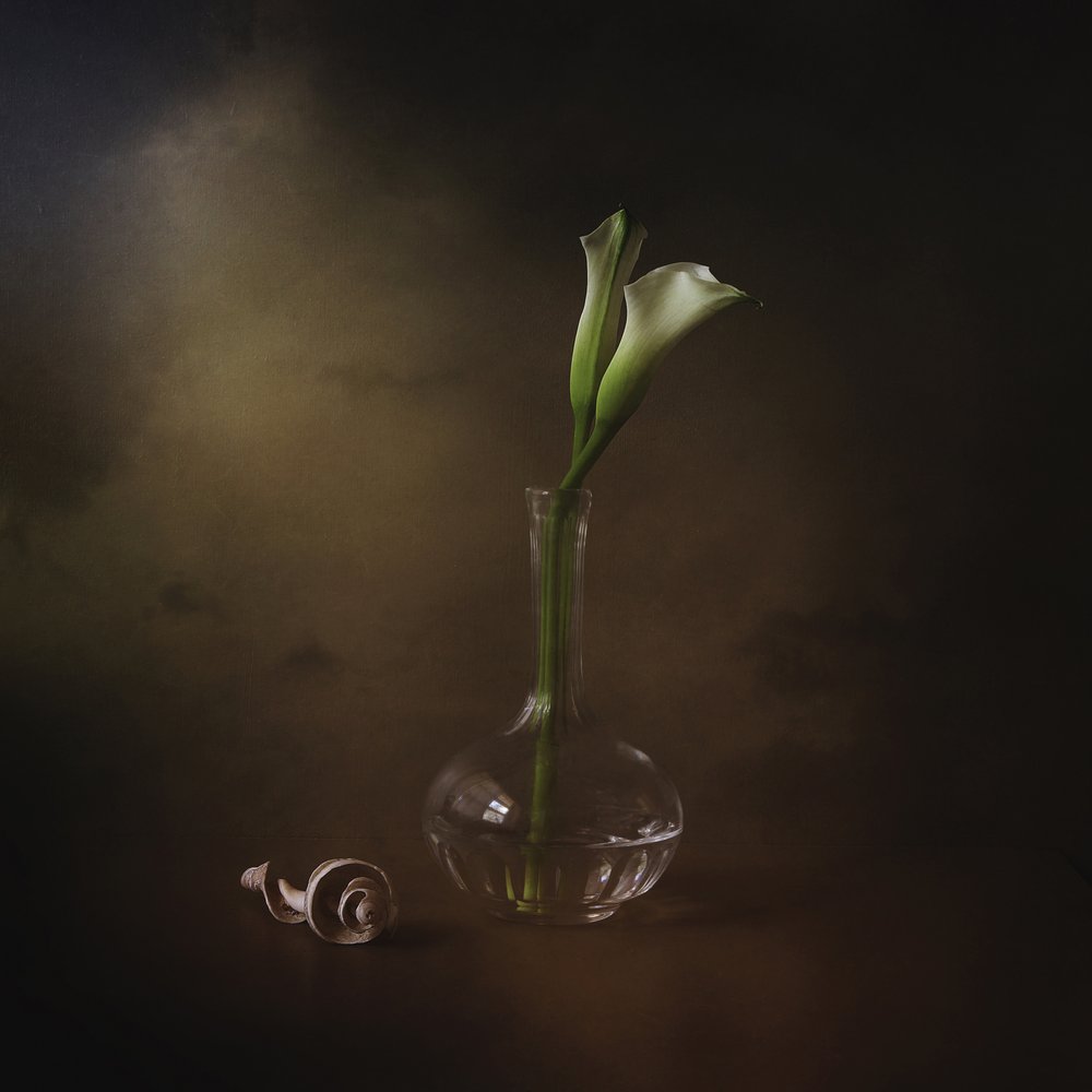 Elegant Calla Lilies by Margaret Halaby