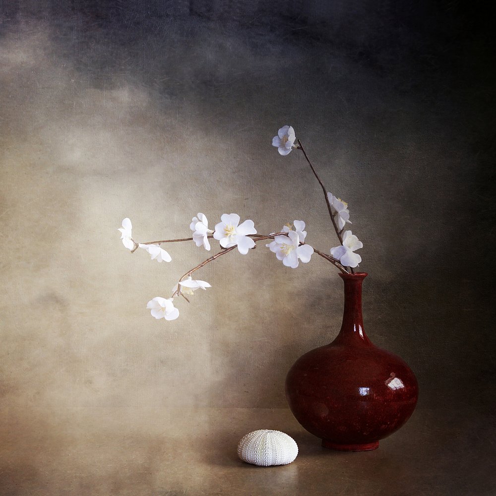 Tranquil Cherry Blossoms by Margaret Halaby