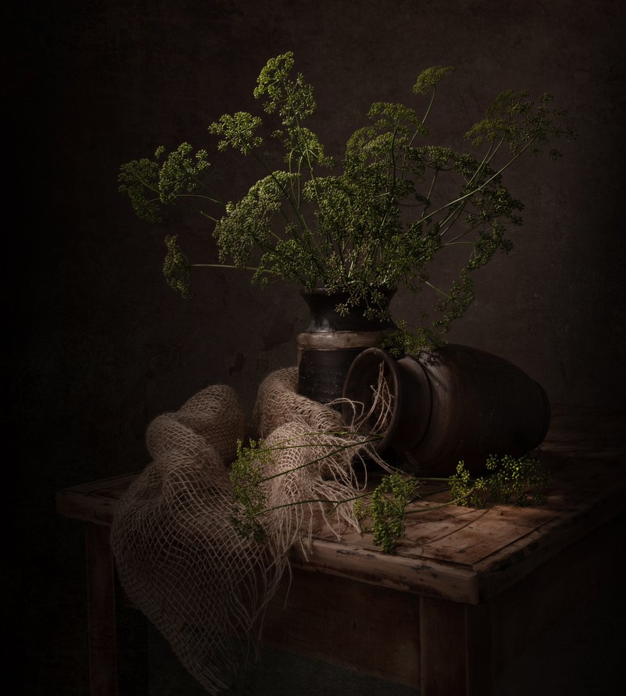 Dark Botanical Still Life by Margareth Perfoncio