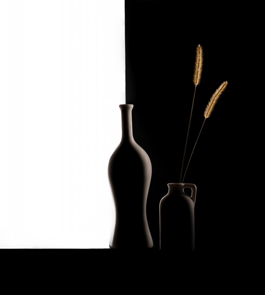 Dark Light Vases Grass by Margareth Perfoncio