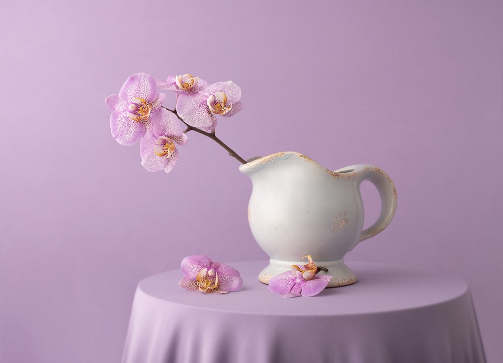 Elegant Lavender Orchids by Margareth Perfoncio