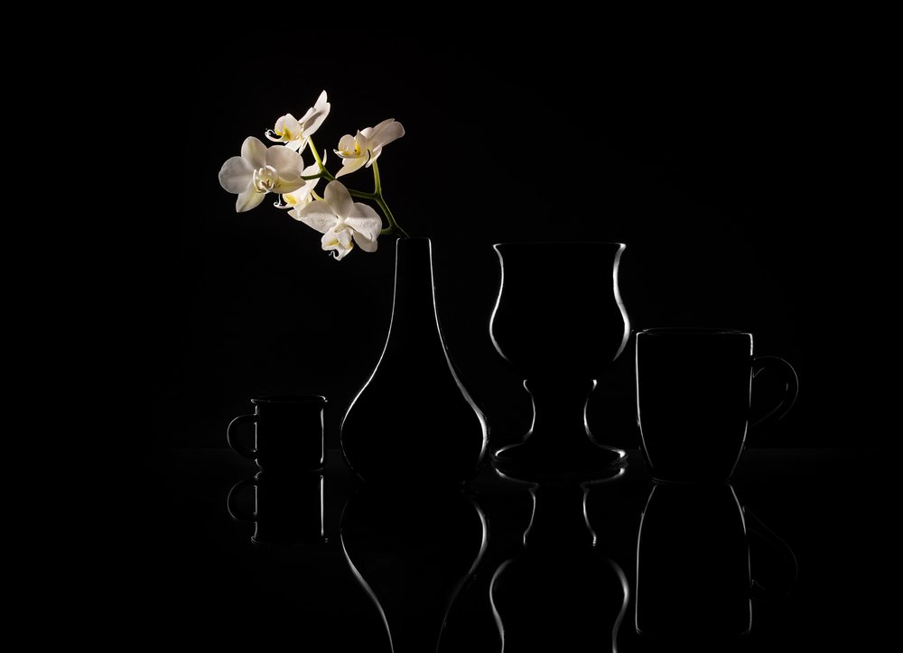Elegant Orchid Silhouettes by Margareth Perfoncio