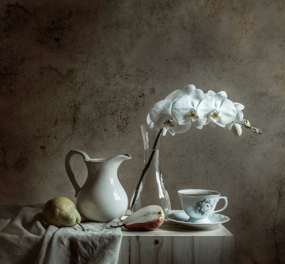 Elegant Orchid Still Life by Margareth Perfoncio
