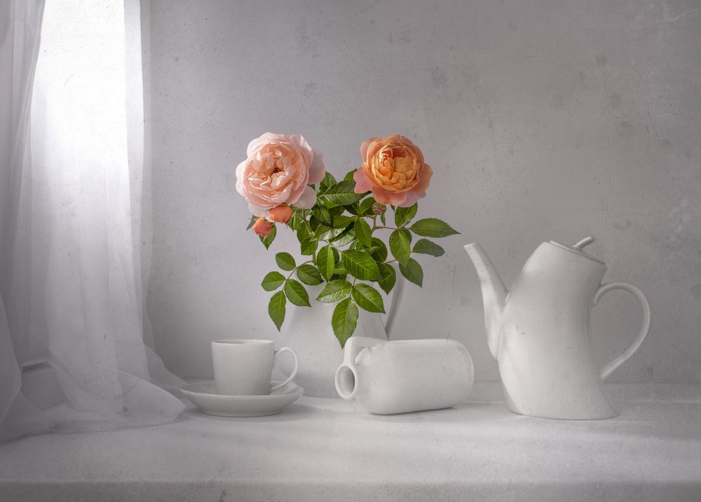 Morning Rose Tea by Margareth Perfoncio