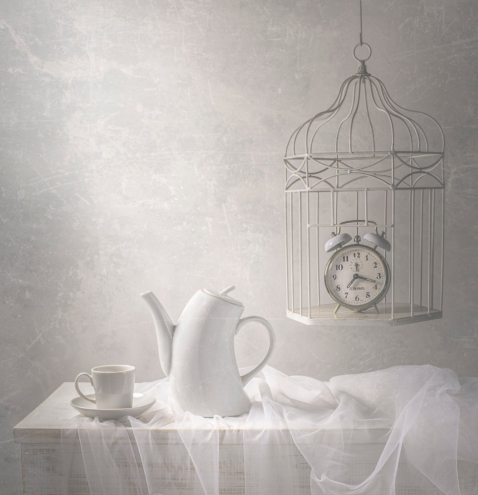 Time in a Cage by Margareth Perfoncio