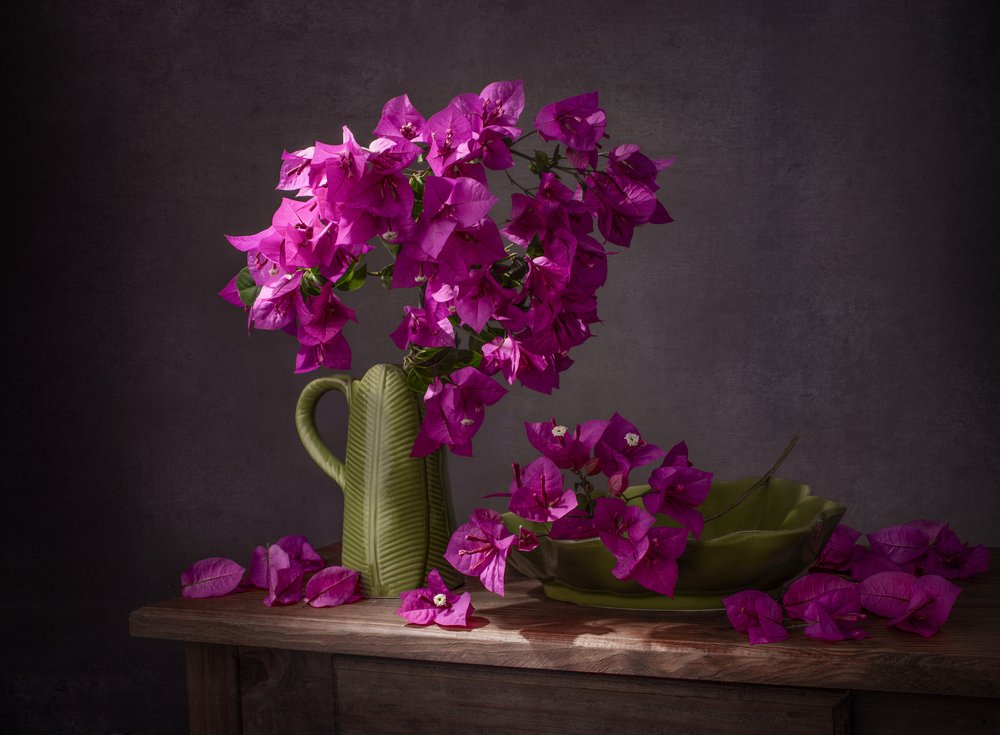 Vibrant Bougainvillea Still Life by Margareth Perfoncio