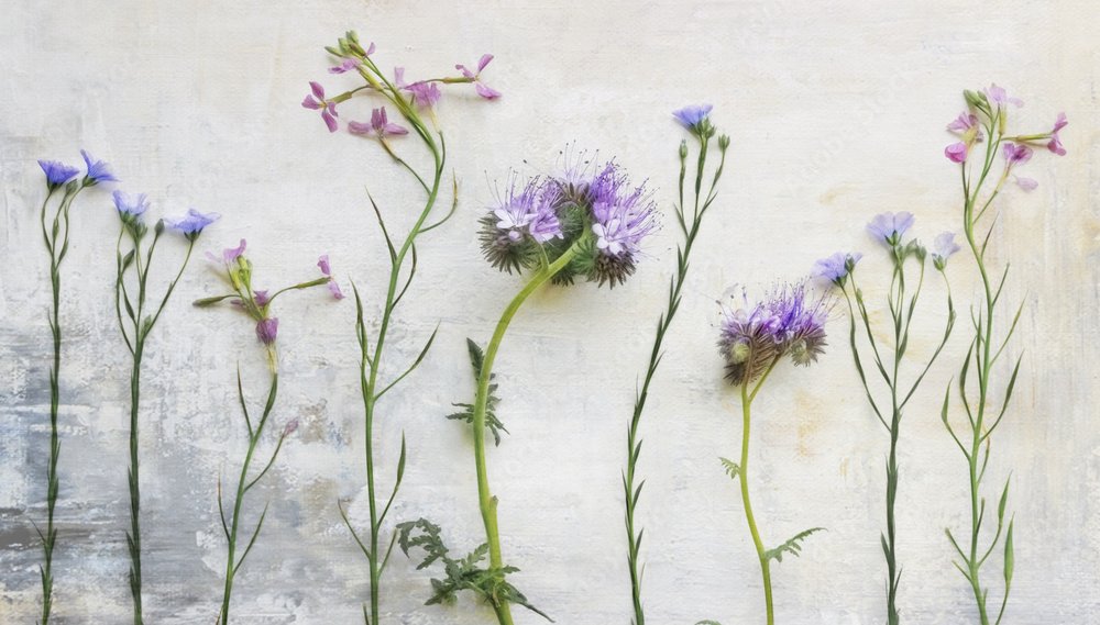Ethereal Wildflower Stems by Marie-anne Stas