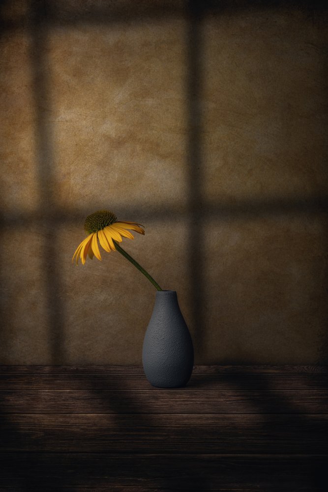 Yellow Flower Shadow by Marko Klavs