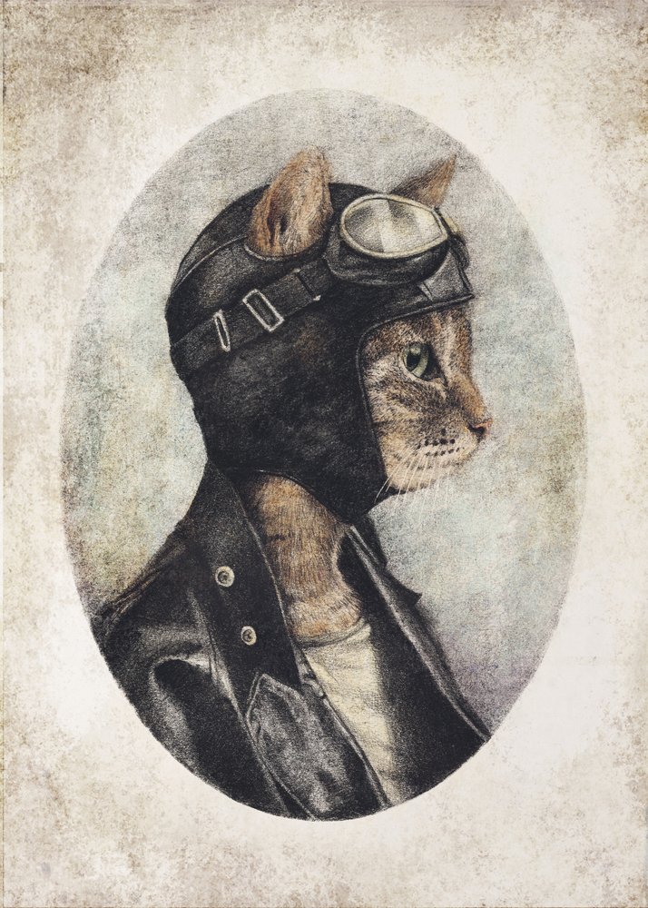 Stylish Cat Wearing A Leather Jacket by Mike Koubou
