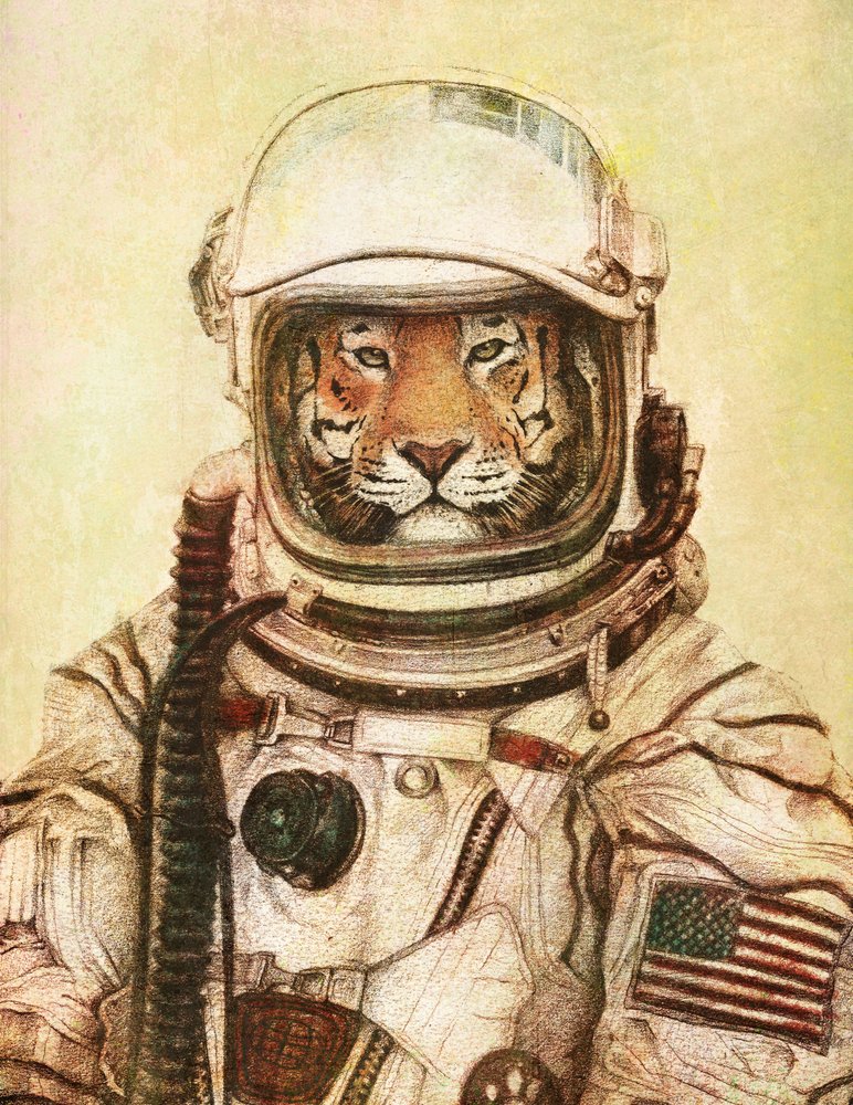 Tiger In A Vintage Astronaut Suit by Mike Koubou