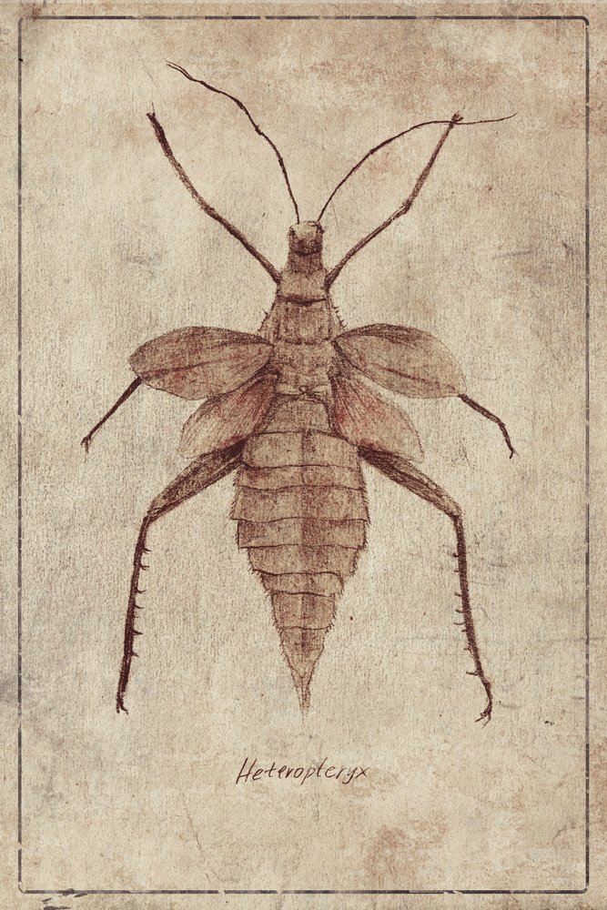 Vintage Insect Illustration by Mike Koubou