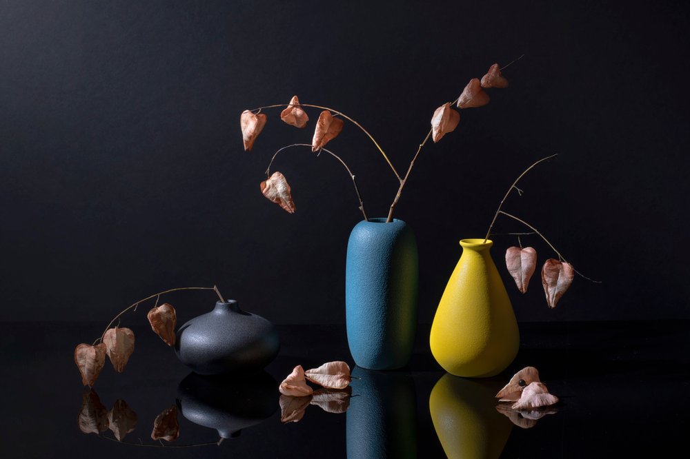 Modern Botanical Vases by Ming Chen