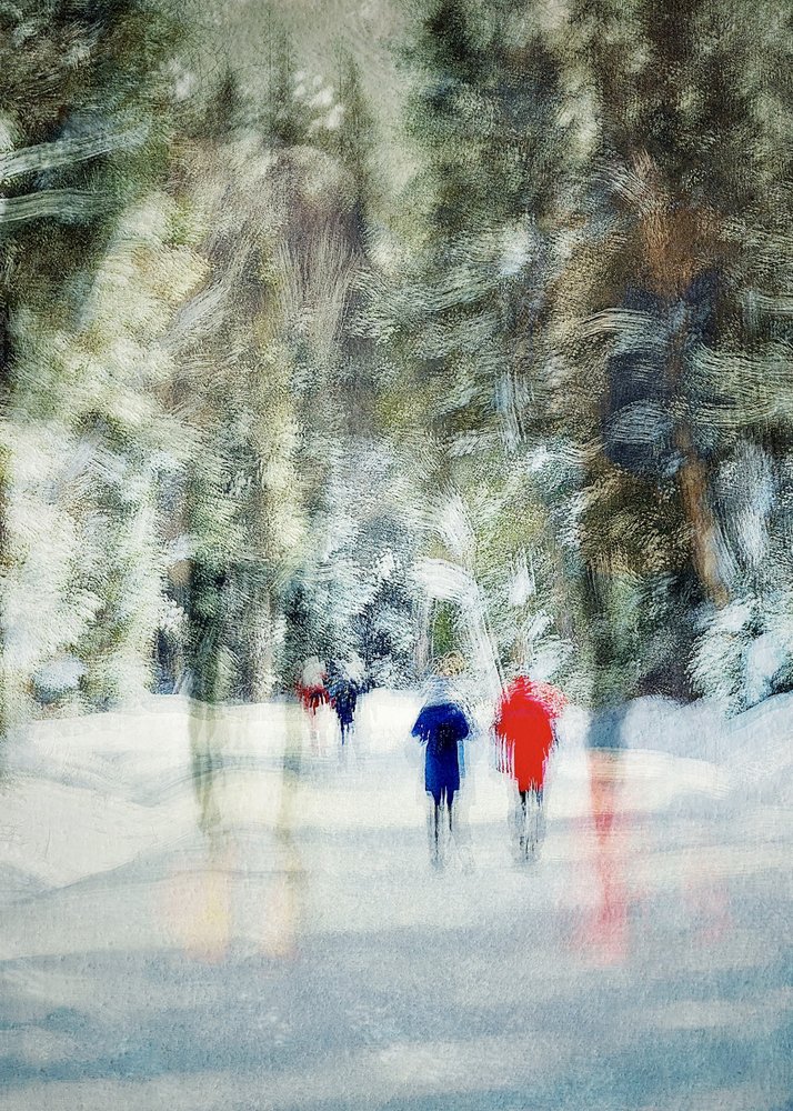 Winter Forest Walk by Molly Fu APA