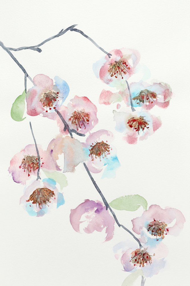 Delicate Pink Blossoms by Natalie Bruns