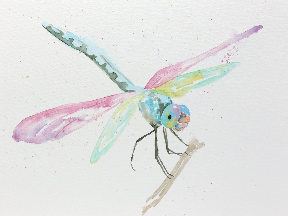 Dragonflies on a Branch in Pastel Colors by Natalie Bruns