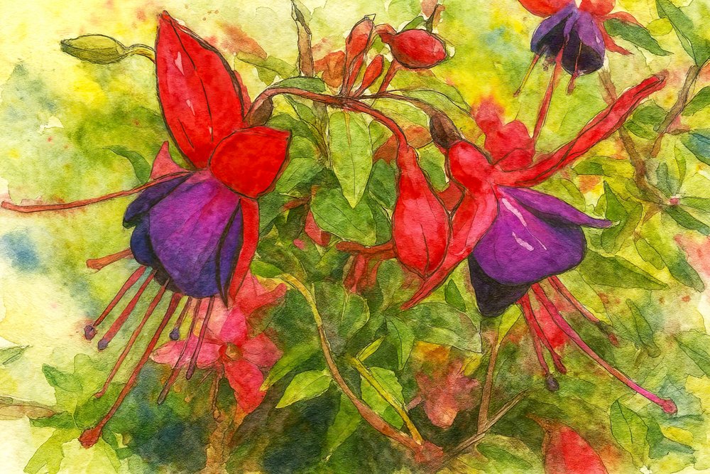 Vibrant Fuchsia Blooms by Natalie Bruns