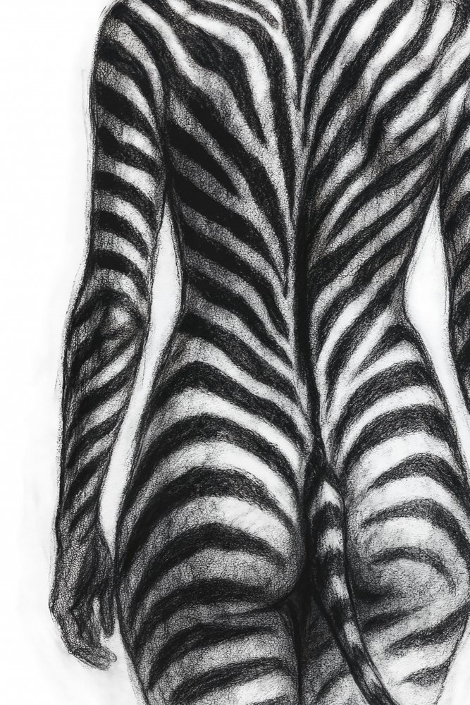 Zebra Striped Form by Natalie Bruns