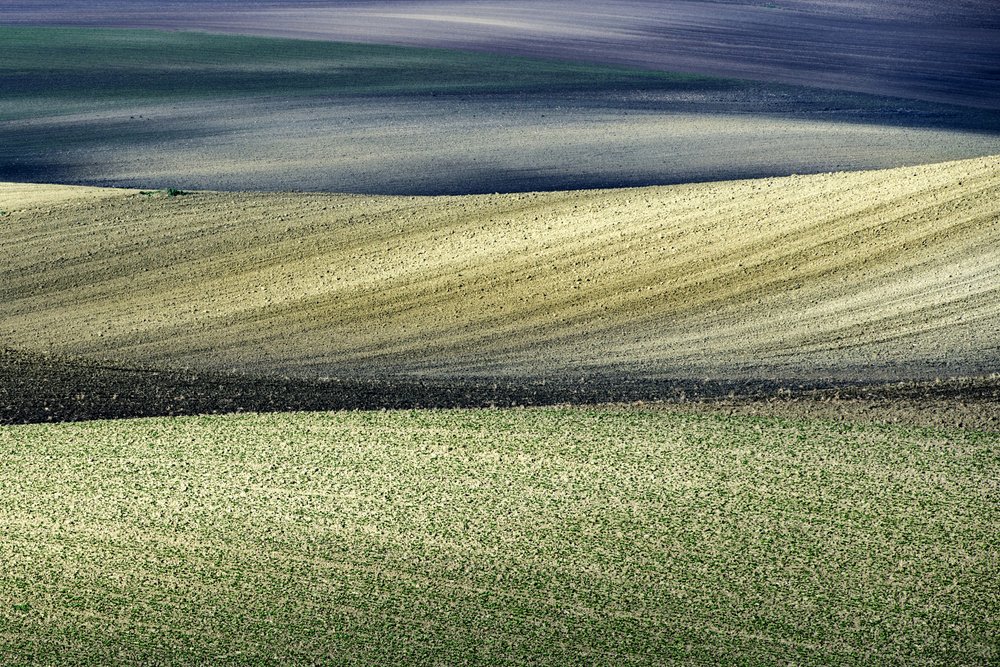 Rolling Field Patterns by Nicola Figliuolo